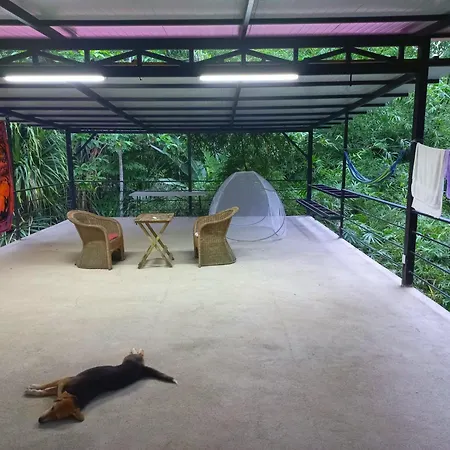 Villa Los Altos - Private Tree Suite Roof Top Walk To Playa Chiquita Cocles Exterior photo