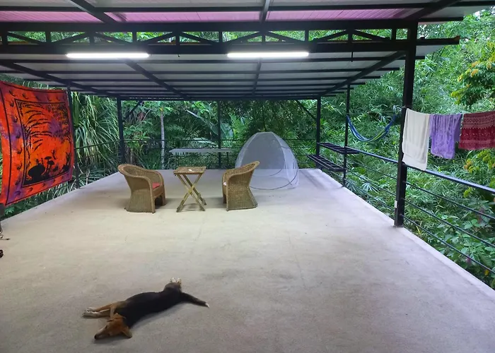 Villa Los Altos - Private Tree Suite Roof Top Walk To Playa Chiquita