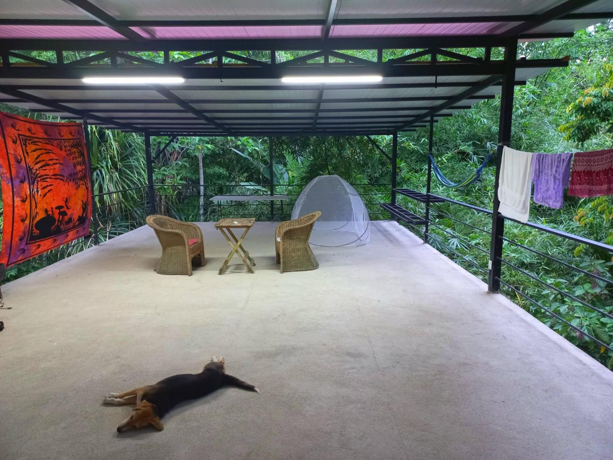 Altos - Private Tree Roof Walk To Playa Chiquita Appartement *