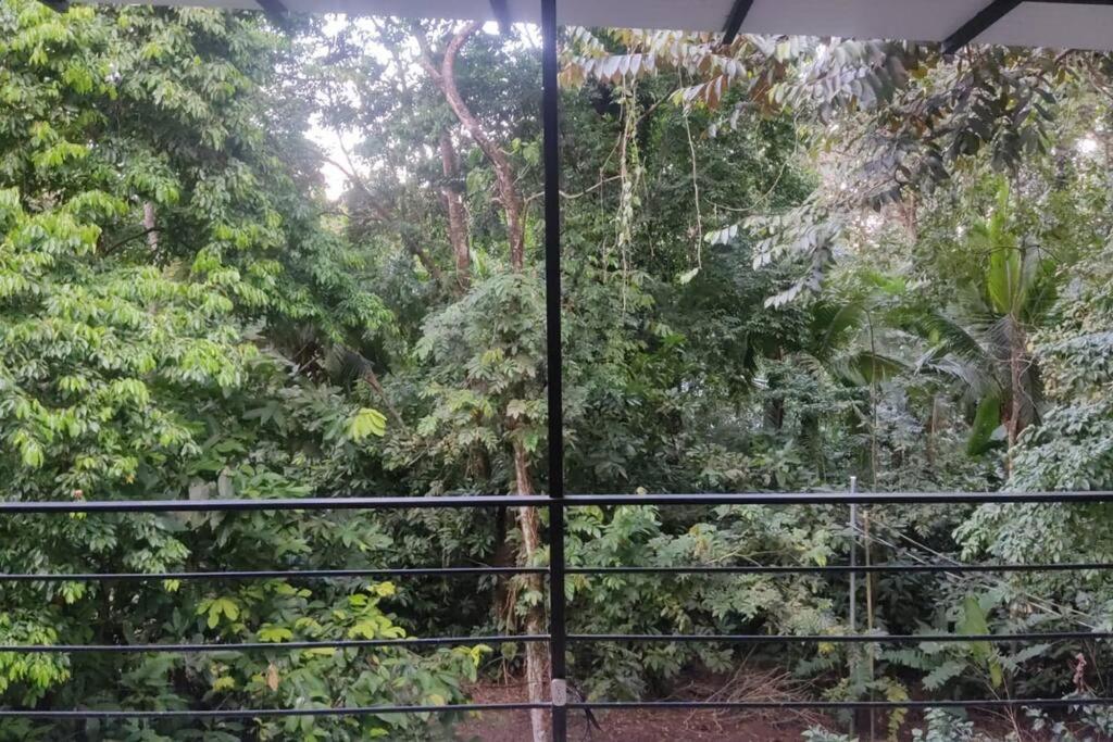 Appartement Altos - Private Tree Roof Walk To Playa Chiquita *